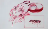 Sajid Wajid Shaikh, Pests, 2022, Sajid Wajid Shaikh is a self-taught multimedia artist based in Mumbai
