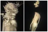 Martina Cirese, a) Woman Underwater #5. Marseille, France 2020; b)Woman Underwater #3. Marseille, France, 2022. Diptych, Martina Cirese is an Italian photographer born in Rome
