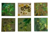 Miriam Moroni, Percorsi lagunari. Polyptych, 2023, Miriam Moroni is a painter born in Venice in