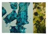 Miriam Moroni, Fito-Plastic, 2021, Miriam Moroni is a painter born in Venice in