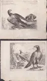 Stefano della Bella, Two engravings from the series "Les aigles", 1651, etchings