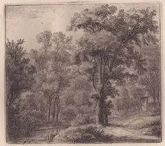Anthonie Waterloo, Landscape, etching