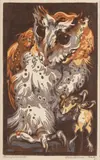 Norbertine Bresslern-Roth, Roseneule (Owl)