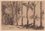 Félix Bracquemond, Trembles au bord de la Seine, etching and drypoint