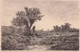 Eduardo Perotti, La Vita Campestre, Etching