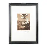 Alessandro Kokocinski, Multiple on paper, in frame