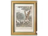 Jean-Baptiste Oudry, Fables by J. de La Fontaine