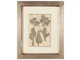 Katsuschika Hokusai, Trees, four woodcuts