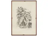 Enzo Faraoni, Tree 1974, engraving