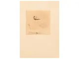 Alessandro Nocentini, Lot of graphics, Shells