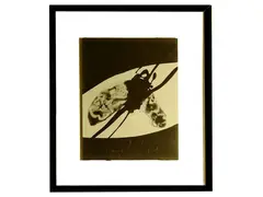 Mosca by Francesca Martí, mixed media on photography, offered Oct 2024