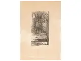 Giovanni Fattori, Un viale interno alle cascine, engraving on paper