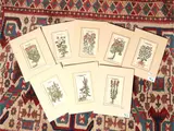 Petrus Andrea Mattioli, Herbariums, eight watercolor woodcuts