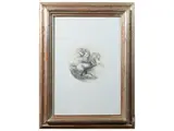 Senza titolo 1984 by Riccardo Tommaso Ferroni, lithograph, offered Jun 2024