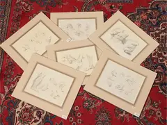 Francesco Bartolozzi, Anatomical studies, six etchings and burin