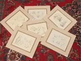 Francesco Bartolozzi, Anatomical studies, six etchings and burin