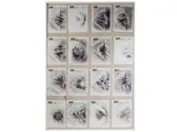 Marcello Guasti, Collection of drawings, collection of