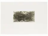 Silvestro Pistolesi, Engravings