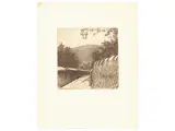 Telemaco Signorini, A Settignano, etching