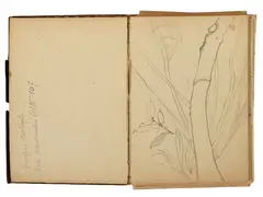 Drawing notebook by Fillide Levasti, containing pencil studies, offered Feb 2023