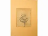 Ottone Rosai, Cup, pencil on paper partially applied to other paper support