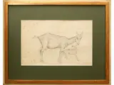 Emy Roeder, Fawns 1947, pencil on paper