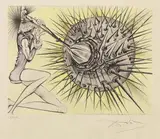 Don Quichotte et l'oursin by Salvador Dalí, 1971, etching dipinta a mano, offered Nov 2016