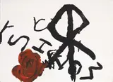 Ferruccio D'Angelo, Rosa in aula, 2016, acrylic on canvas