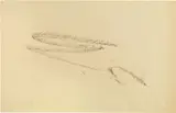 Jean Fautrier, Senza titolo