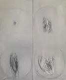 Emilio Scanavino, Germinazione