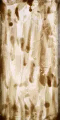Without title by Fausto Melotti, 1965, Ceramic, offered Apr 2024