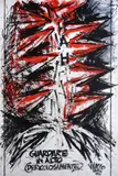 Vinicio Berti, Looking up (Dangerously)