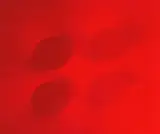 Turi Simeti, 4 red ovals