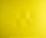 Turi Simeti, Six yellow ovals, 2003, The work is registered in the Turi Simeti Archive with no.