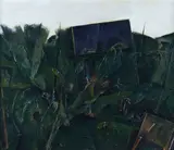 Alberto Manfredi, Vegetation
