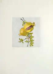 Melograni by Swietlan Kraczyna, 1990, offered Nov 2023