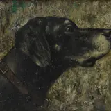 Xavier Bueno, Cane "Sago"