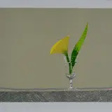 Edolo Masci, A flower in a glass of water, Sign lower right; edition lower left.