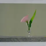 Edolo Masci, A flower in a glass of water, Signature lower right; edition lower left.