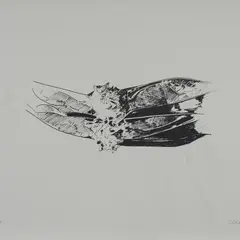 Without title by Mario Becchis, Lithography - mm., offered Jul 2023
