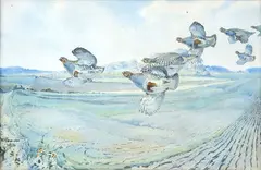 Eric Ennion, Partridges in flight, 1932