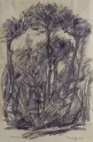 Fernando Farulli, Pines