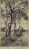 Felix Hollenberg, Trees