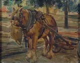 Riccardo Magni, Horse