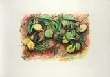 Lemons by Renato Guttuso, offered Jun 2023