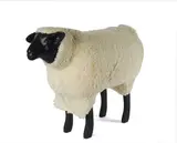 François-Xavier Lalanne, Sheep