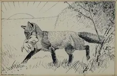 Fox with puppy by Eugen Osswald, Sign at the bottom to the left., offered May 2023