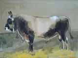 Hans Hammer, Study for bull