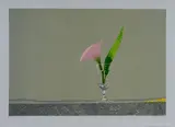 Edolo Masci, A flower in a glass of water, Sign lower right; edition lower left.