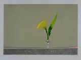 Edolo Masci, A flower in a glass of water, Sign lower right; edition lower left.